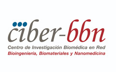 CIBER-BBN