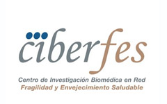 CIBERFES