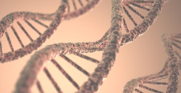 DNA estructure