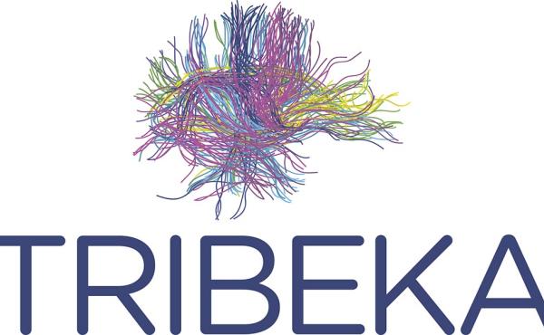Plataforma de neuroimagen de acceso abierto TRIBEKA