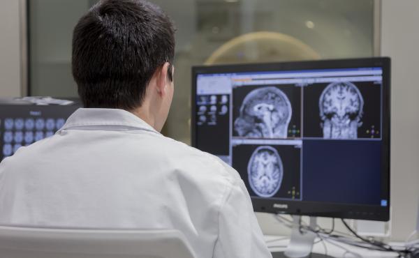 Image of scientist researching in front of the computer