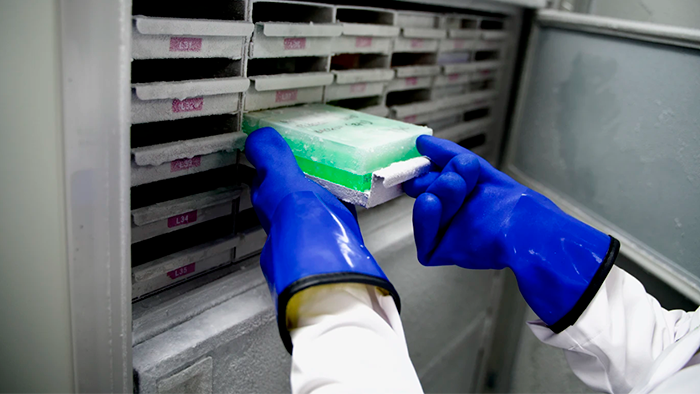 Biological samples