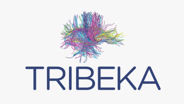 Plataforma de neuroimatge d'accés obert TRIBEKA