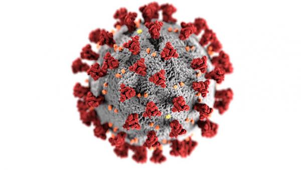 Coronavirus illustration created at the Centers for Disease Control and Prevention (CDC)