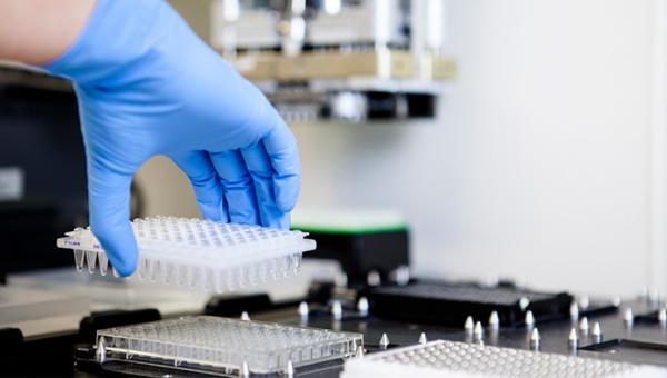 Lecanemab is an investigational antibody that acts against the beta amyloid protein.