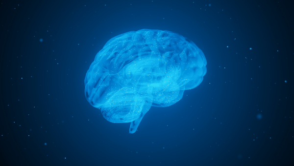 The proposal is detailed in an article published in the scientific journal The Lancet Regional Health - Europe, and includes the creation of second-generation memory clinics, called 'Brain Health Services'.