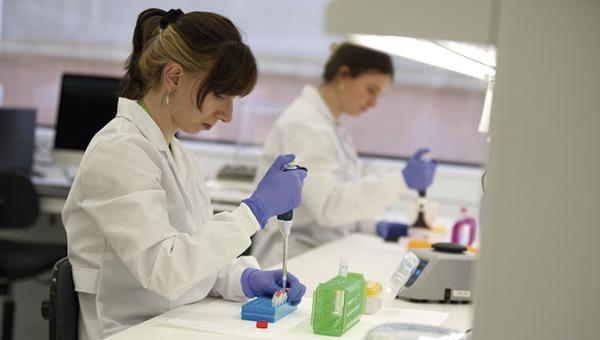 The research has been carried out by a working group convened by the Global CEO Initiative organization on Alzheimer's Disease