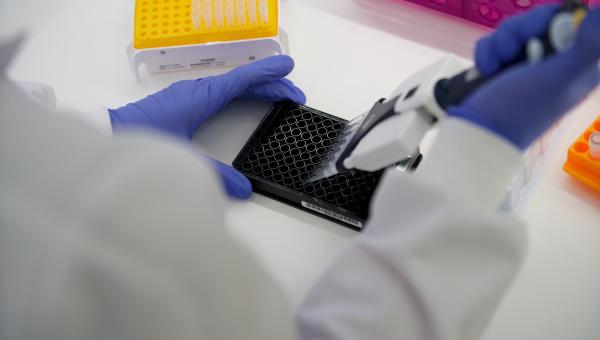 Laboratori