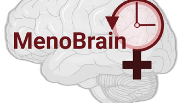 MenoBrain