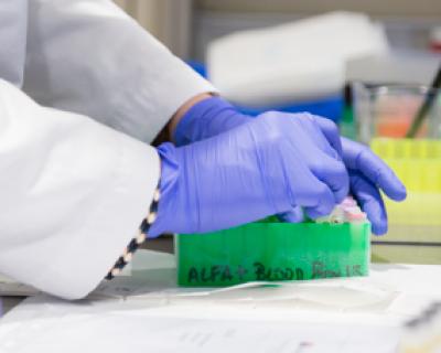 Hands with globes in laboratory
