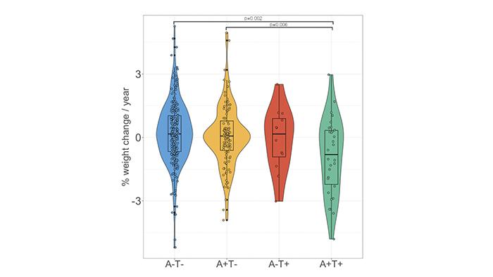 The graph shows the different weight changes in each group according to its risk of developing Alzheimer's. The group with an increased risck of developing the disease (A+T+, in green) is the one that presents a greater weight loss. 