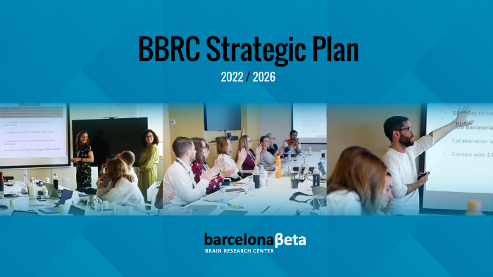BBRC Strategic Plan 2022-2026